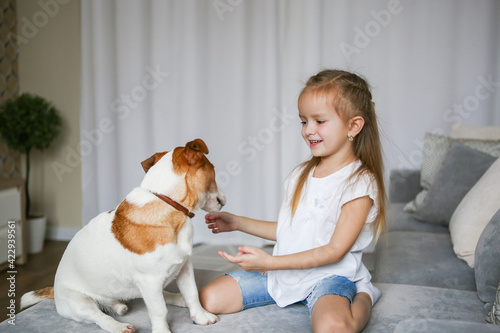 Happy child with a dog. Portrait of a girl with a pet. The child plays and hugs the puppy. Little girl and a puppy on the couch. Pet at home. Taking care of animals.