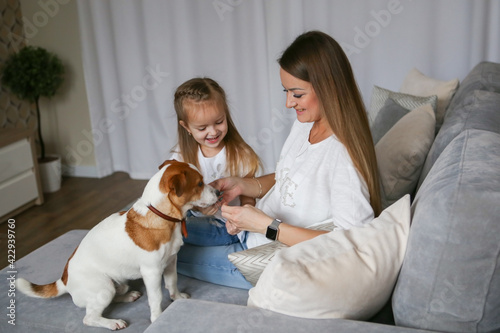 Young mom with her daughter playing with Jack Russell Terrier dog. Family and pet at home.