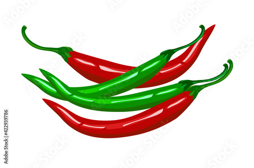 Chillies pepper illustration