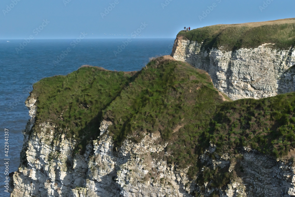 Flamborough Cliffs 