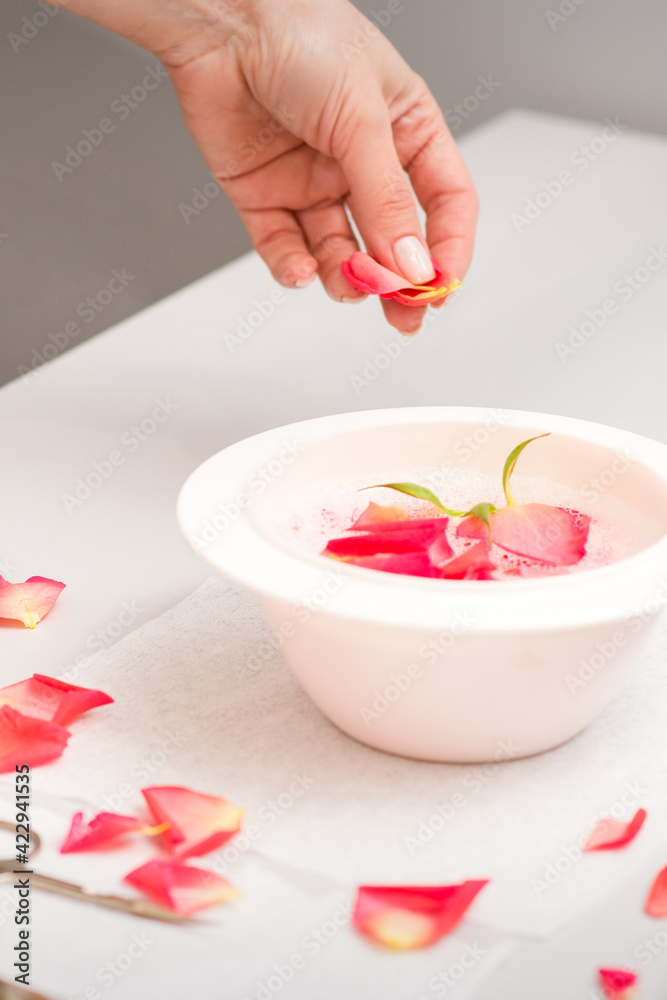 Beautician's female hands preparing manicure bath with red and pink roses petals on the table in spa Beautician's female hands preparing manicure bath with red and pink roses petals on the table in spa