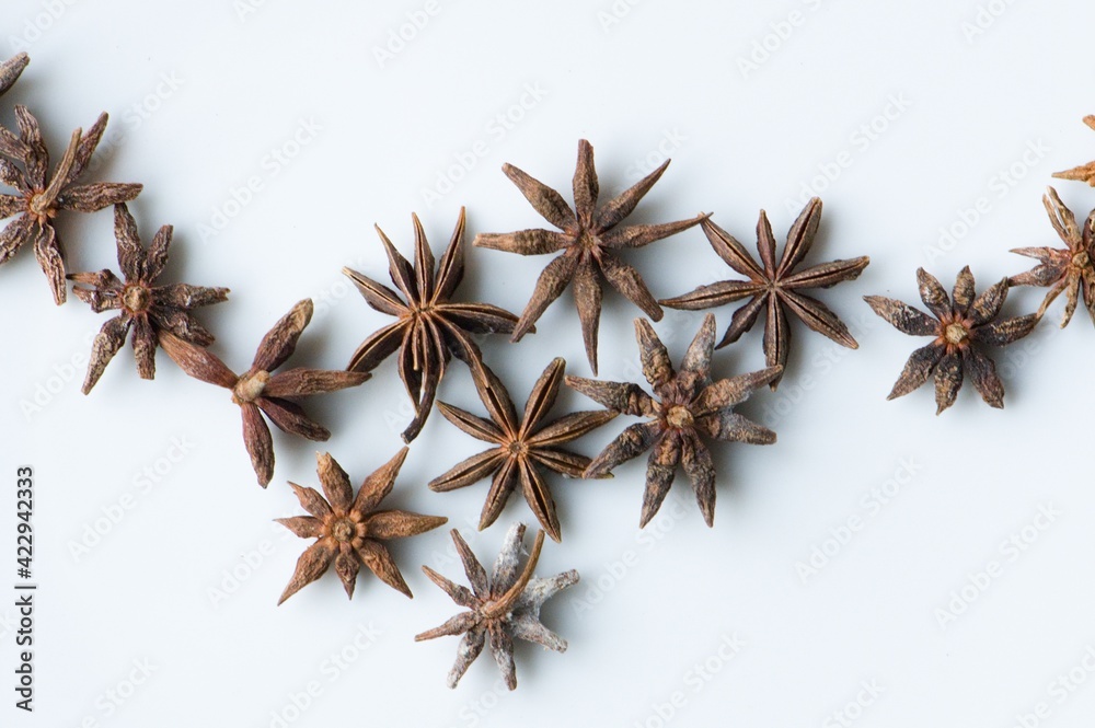 Sternanis Sternanis