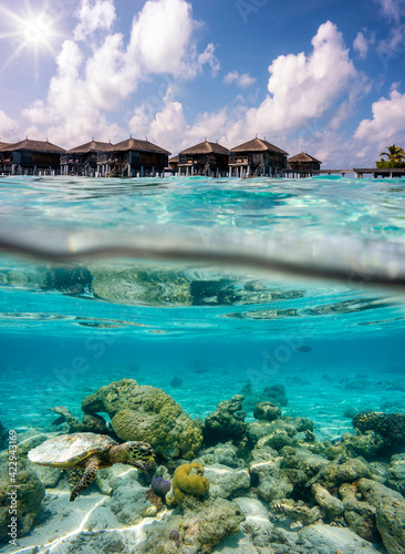 Split view to water bungalows and to the colorful underwater landscape of the Maldives with a turtle and coral