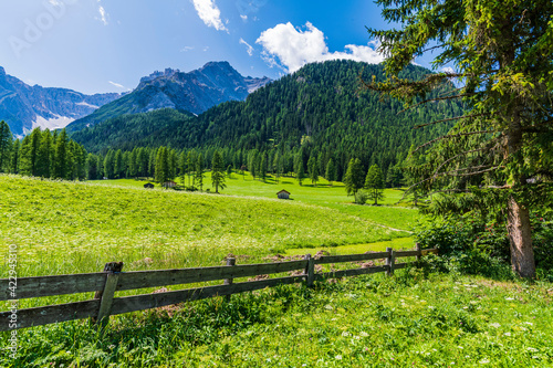 Typical views of the dolomitic valley floor. The Val Fiscalina