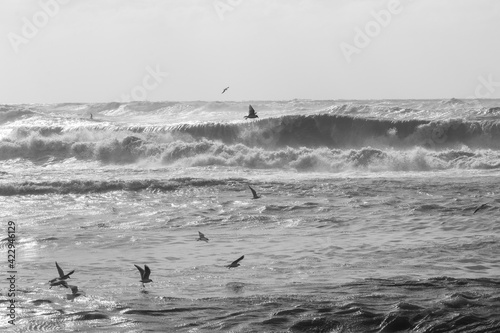 rough sea