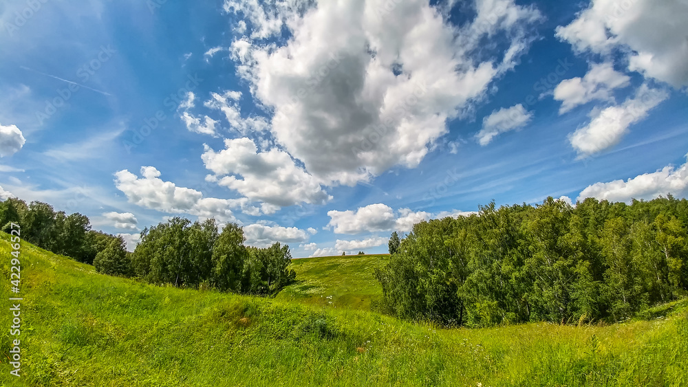 Beautiful landscape of field with green grass under the shining sun in the spring