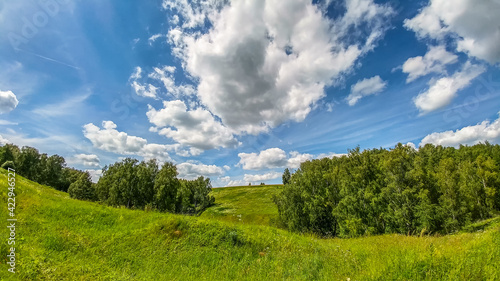 Obraz na płótnie Beautiful landscape of field with green grass under the shining sun in the spring w salonie