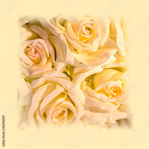framed pale peach colored fake rose flowers top view closeup  colorful pattern background