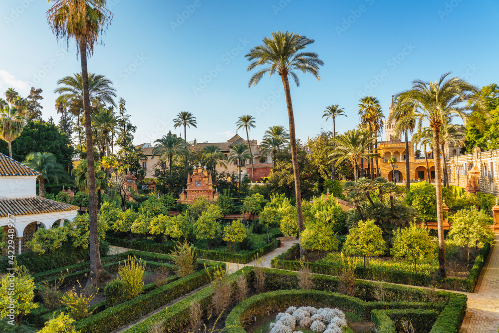 Obraz premium Mazes in Royal Alcazar Gardens in Seville, Jardines Real Alcazar en Sevilla