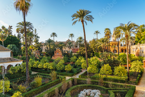 Mazes in Royal Alcazar Gardens in Seville, Jardines Real Alcazar en Sevilla photo