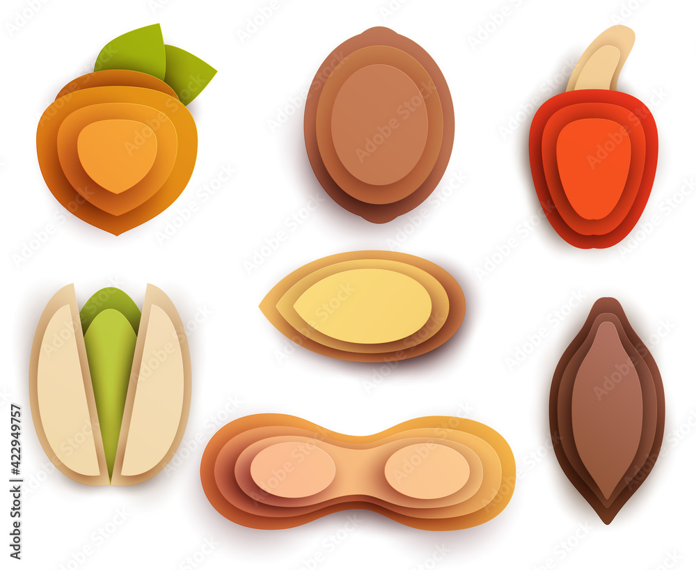Collection cartoon icon nuts in layer paper cut 3d style isolated on white background. Hazelnut, peanut, walnut, almond, pistachio, cashew, cocoa pod. Vector colorful element.