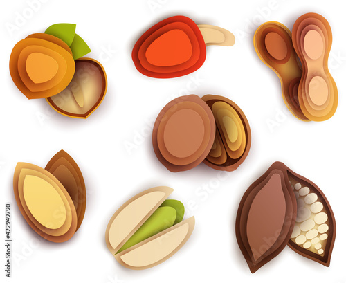 Collection cartoon icon nuts in layer paper cut 3d style isolated on white background. Hazelnut, peanut, walnut, almond, pistachio, cashew, cocoa pod. Vector colorful element. © cgterminal