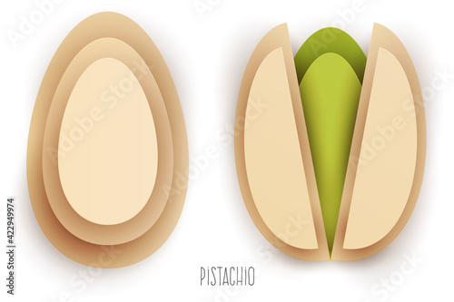 Cartoon whole and half pistachio in modern geometric 3d paper cut style isolated on white background. Vivid creative vector art element. Minimalistic concept of abstract design illustration.