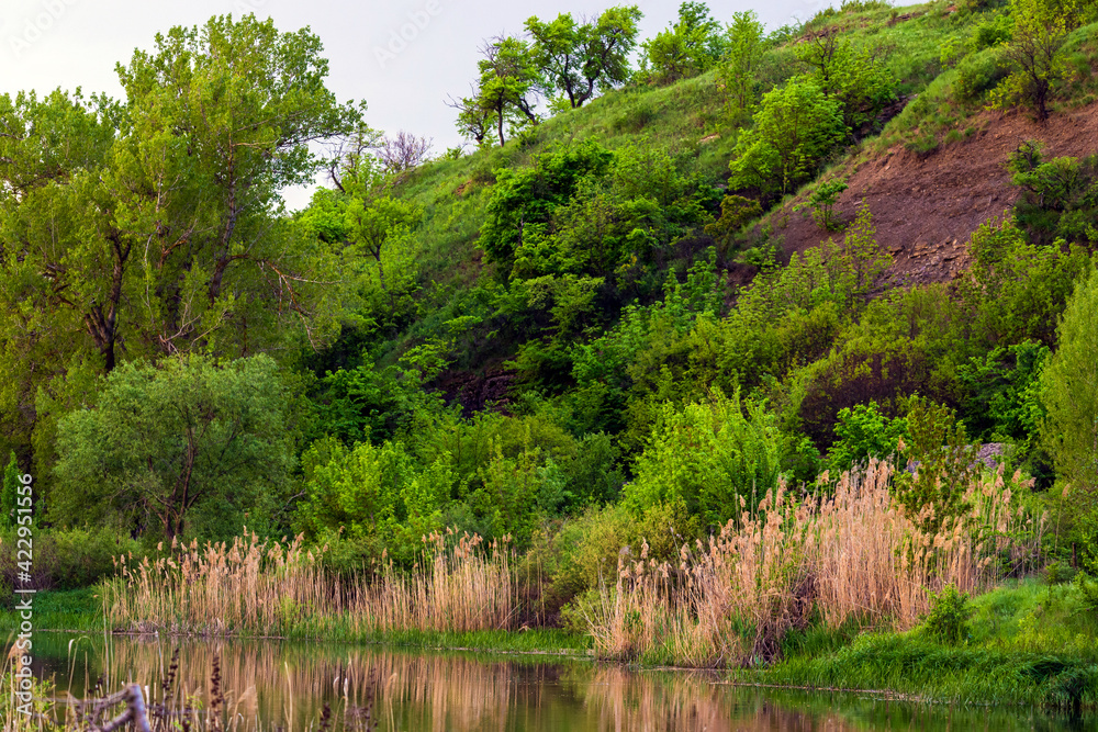 Forest lake or river flow landscape, calm nature background Forest lake or river flow landscape, calm nature background