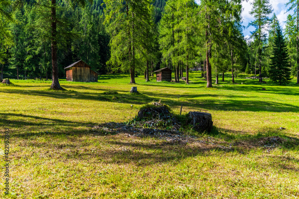 Fototapeta premium Typical views of the dolomitic valley floor. The Val Fiscalina
