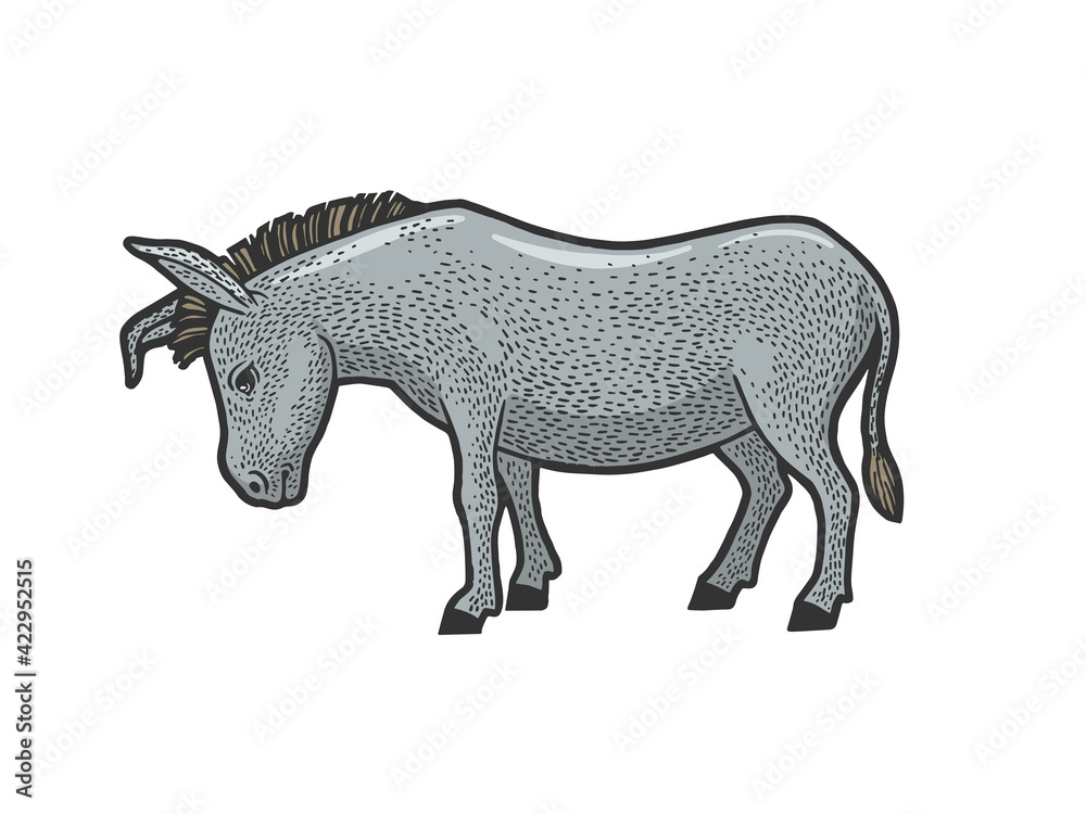 sad tired donkey sketch raster illustration sad tired donkey sketch raster illustration