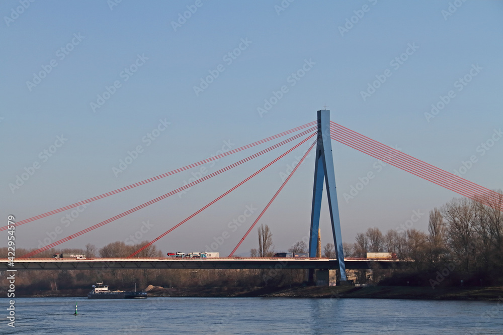 Naklejka premium Salierbrücke Speyer