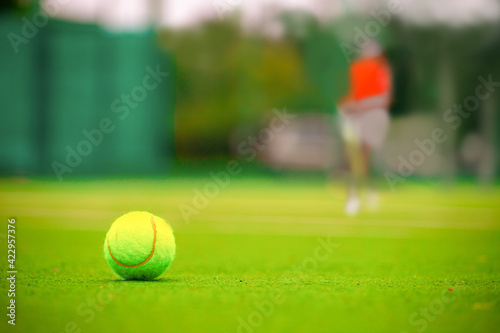 tennis ball lying on the grass court © Павел Мещеряков