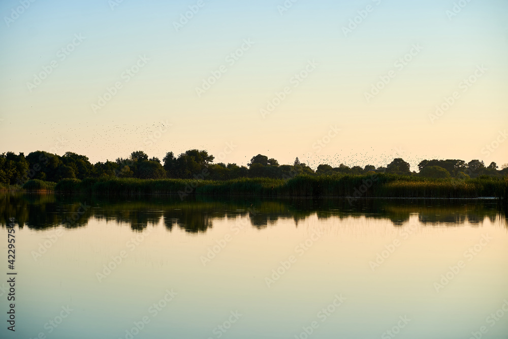 Obraz premium Landscape of a rural river with blue sky and trees on the background during sunset