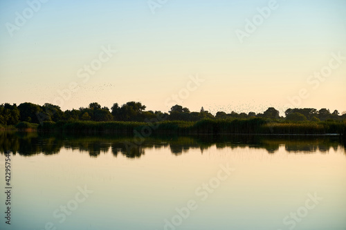 Landscape of a rural river with blue sky and trees on the background during sunset
