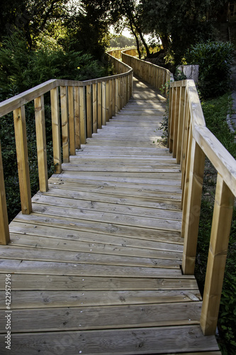 Wooden path in the forest