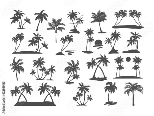 Palm tree silhouette set. Various black tropical trees on a white background. Vector illustration. For design of t-shirts  cards  invitations in retro style