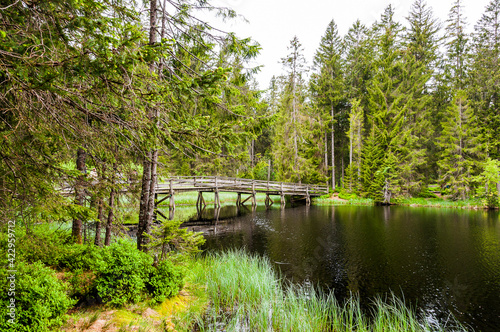 étang de la gruère, la gruère, See, Moorsee, Moor, Weiher, Hochmoor, Wanderweg, Spazierweg, Wald, Waldweg, Wasserpflanzen, Torfmoos, Jura, Naturschutz, Frühling, Sommer, Schweiz