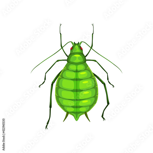 Aphid insect, parasite bug pest control and agriculture disinsection service, isolated vector. Aphid beetle or greenfly or blackfly vermin insect, plants pesticide pest control symbol
