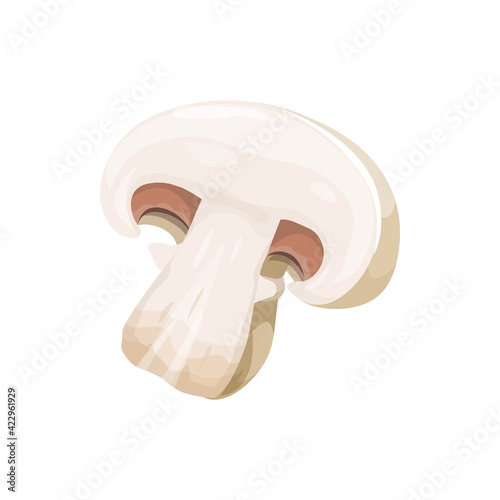 Sliced champignon small edible mushroom with white cap isolated 3D realistic icon. Vector cultivated table cremini or crimini. Fungi autumn fall food, common white button mushroom cut on half