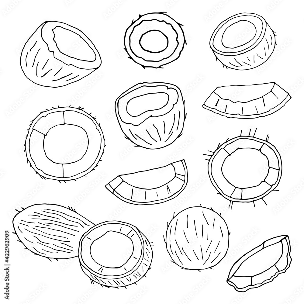 Vector pattern with coconut halves on a white background. Vector pattern with coconut halves on a white background.
