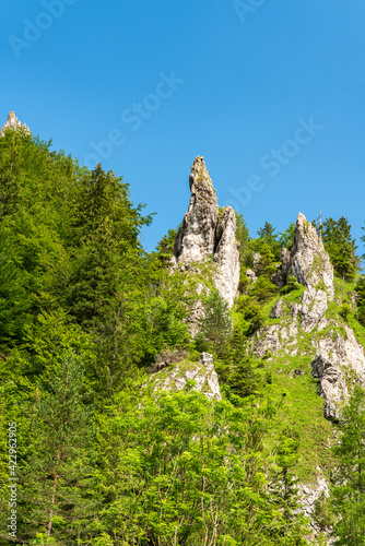 Limestone rock formation with trees around and clear sky above Vratna dolina valley in Mala Fatra mountains in Slovakia photo