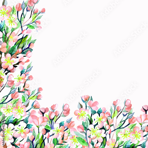 Pastel colors floristic frame of spring blossoming apple tree branches on white background © Olga