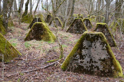 Tank traps from WWII in Germany near the border with Belgium  photo