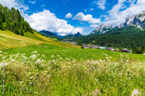 Summer glimpses along the paths of Sappada. Friuli. Dolomites