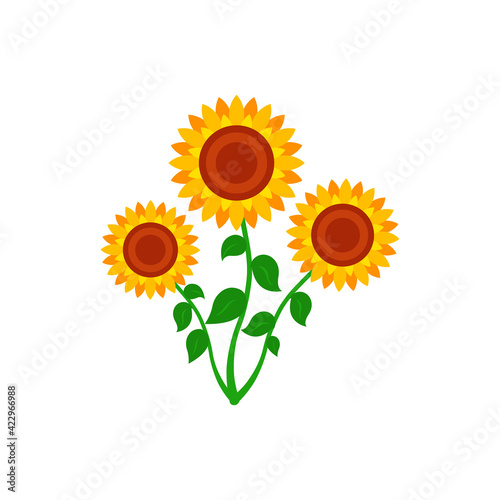Sunflower with green leaves in flat style isolated on white background. Vector Illustration