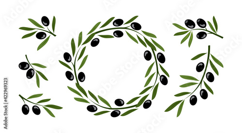 Olive crown, wreath vector set and greek olive branches,tree leaves twigs. Nature illustration