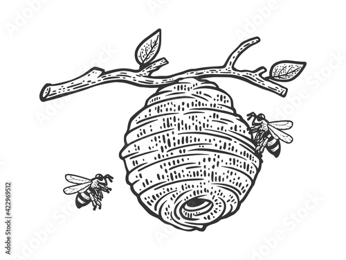 Hive of wild bees on a tree sketch engraving vector illustration. T-shirt apparel print design. Scratch board imitation. Black and white hand drawn image.