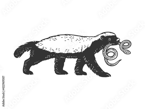 Foto Honey badger ratel with snake in mouth animal sketch engraving vector illustration