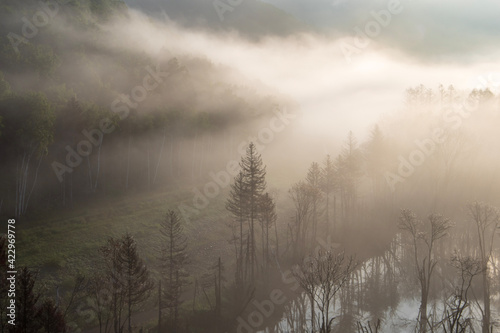 下川町サンルダム朝霧の風景 
