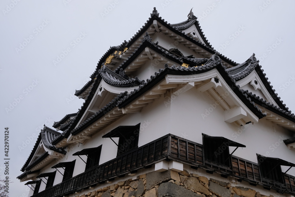 Hikone castle2