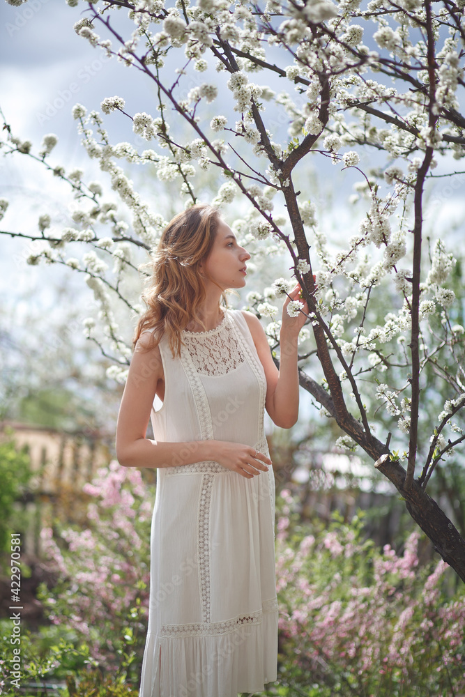 Naklejka premium beautiful girl in a white dress walks in the garden, sakura blooming, spring bloom