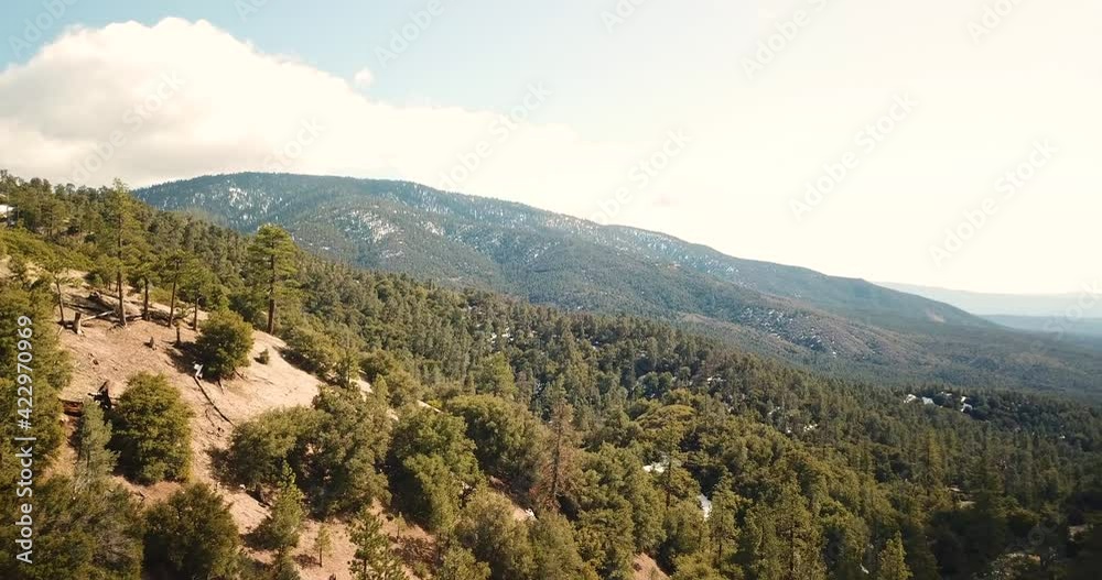 Aerial drone over pine mountain club forest in kern county california. 