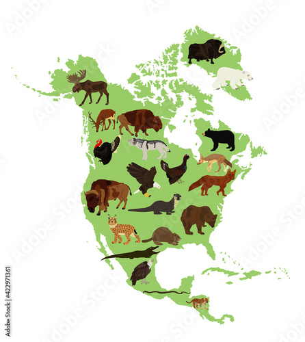 Continent Northern America vector map silhouette illustration with wild animals  isolated on white background. United states of America  Canada  Mexico  Cuba   Bahamas  Caribbean sea territory.