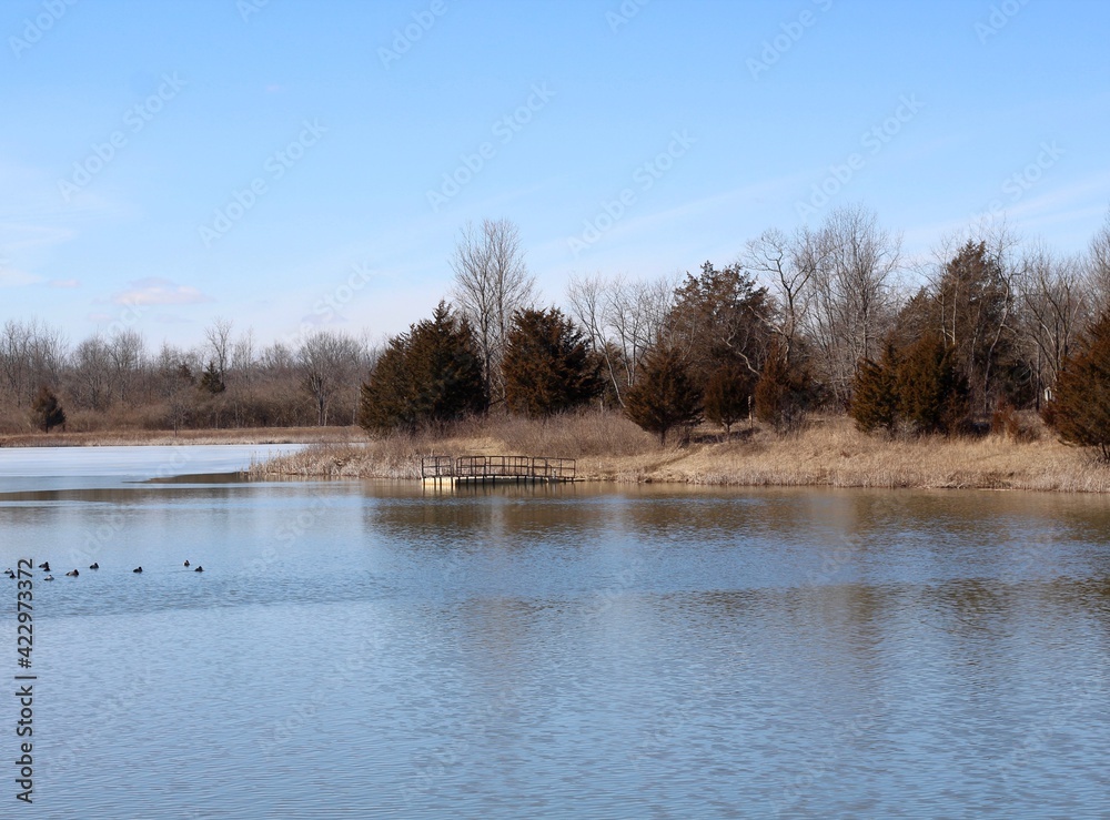 A peaceful view of the lake in the countryside.