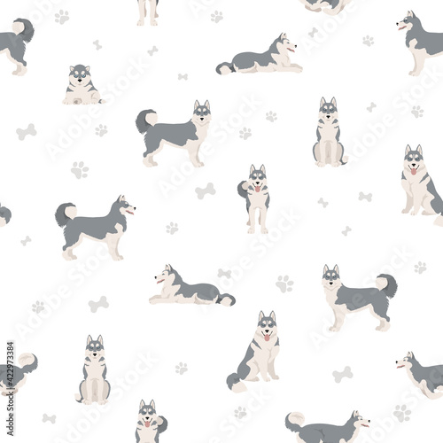 Siberian husky poses, coat colors seamless pattern.