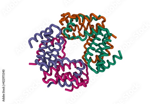 Structure of the recombinant human interferon-gamma tetramer, 3D cartoon model, white background