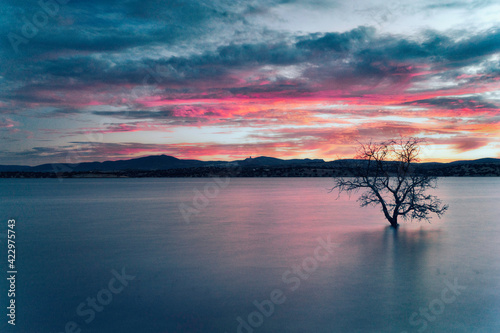 Emotional and inspiring sunset in a lake with a tree in solitude. Long-exposure photography photo