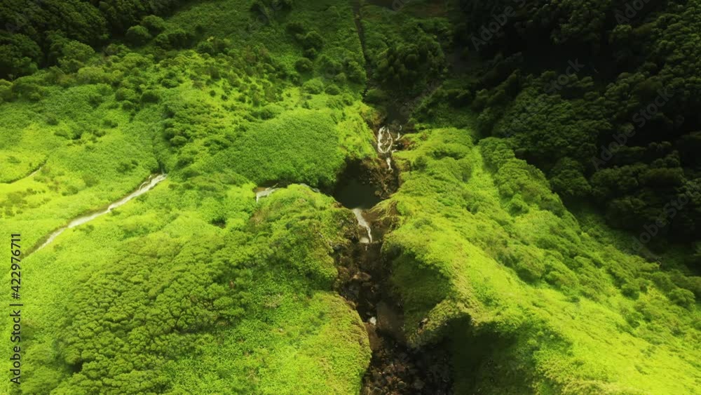 Poco Ribeira do Ferreiro, Alagoinha, Flores Island, Azores, Portugal. Aerial footage of rock covered with moss and vegetation. Photogenic landscape with creeks and waterfalls. High quality 4k footage