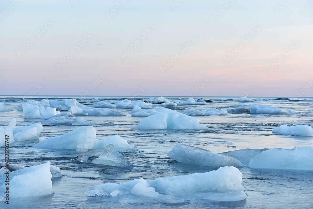 Obraz premium A gentle pink evening in the glacial lagoon. Transparent blocks of ice in the ocean water. Coast of Iceland. Long exposure 
