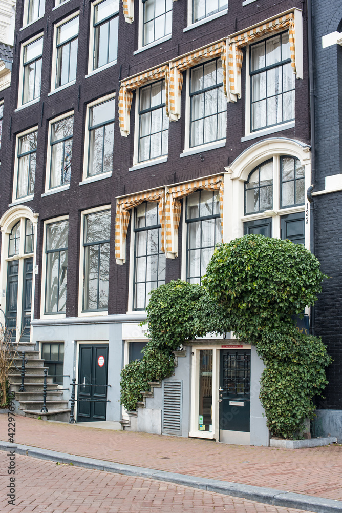 Naklejka premium old houses of Amsterdam with flower pots